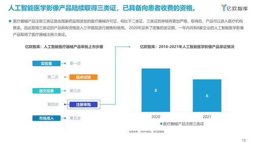 2021年中國人工智能醫(yī)學(xué)影像企業(yè)應(yīng)用軟件開發(fā)發(fā)展報(bào)告